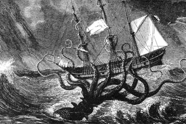 Kraken20 at