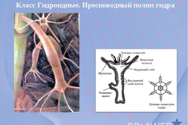 Кракен зеркало 2