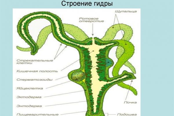 Маркет кракен маркетплейс