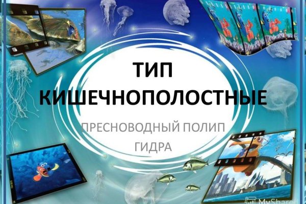 Кракен вход