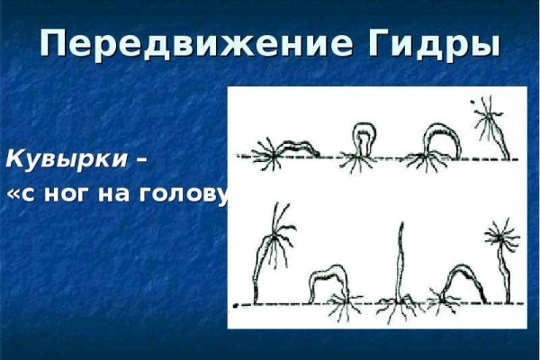Что такое кракен в интернете