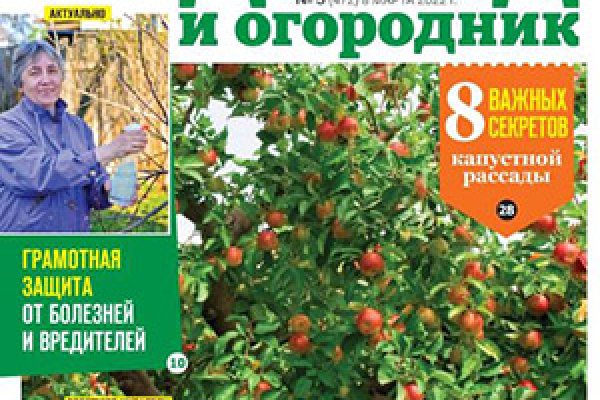 Сайты с наркотой