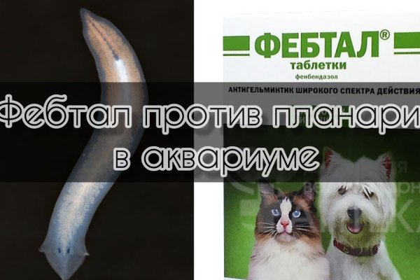 Кракен наркотики россия