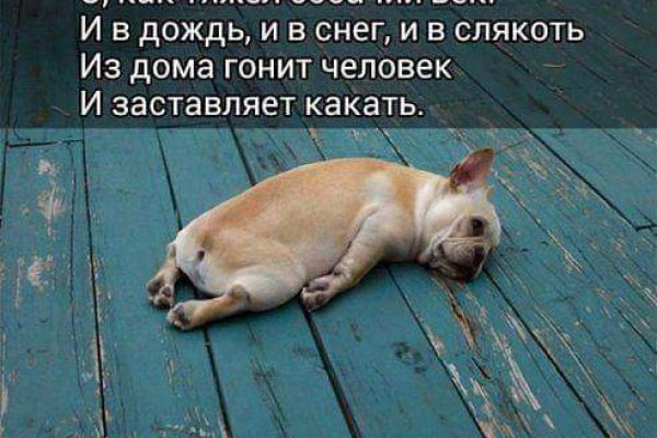 Кракен онион ссылки